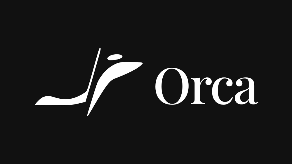 Orca 핵심 정리