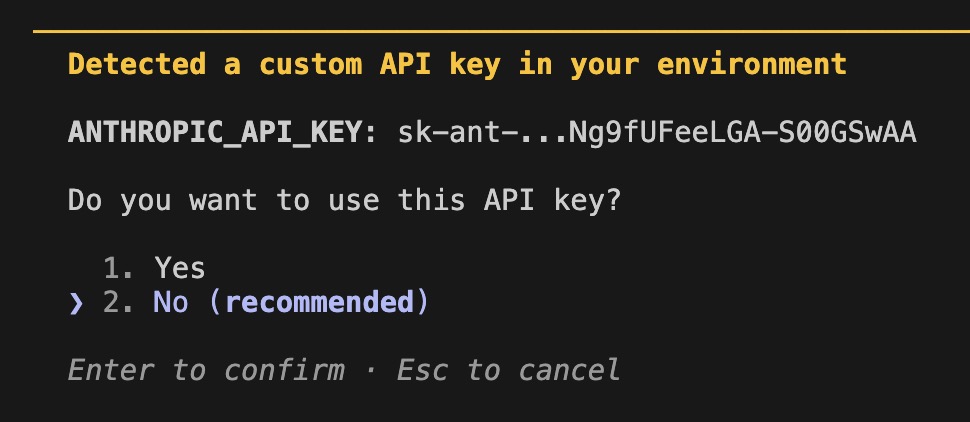 API Key 사용 여부 확인