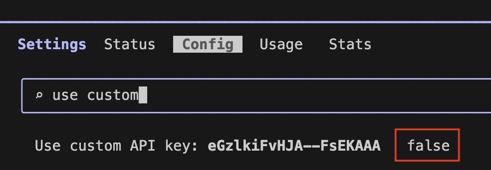 Use custom API key 옵션 활성화 필요